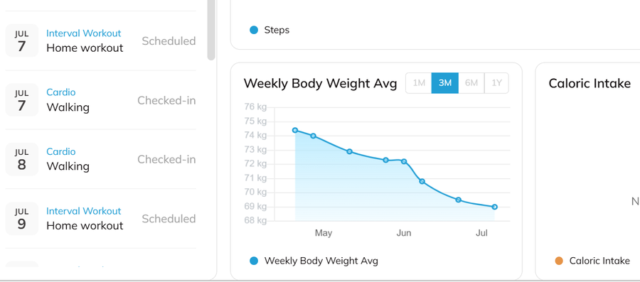 Real client weekly check-in progress